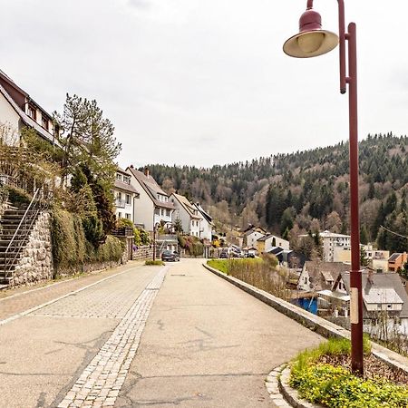 Ferienappartement Sonnenhof Triberg im Schwarzwald Εξωτερικό φωτογραφία