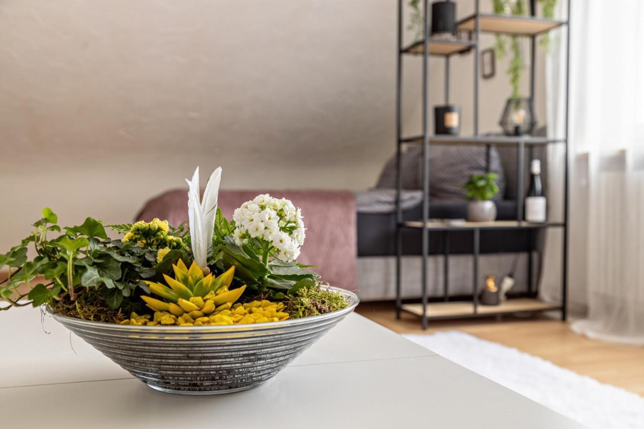 Ferienappartement Sonnenhof Triberg im Schwarzwald Εξωτερικό φωτογραφία