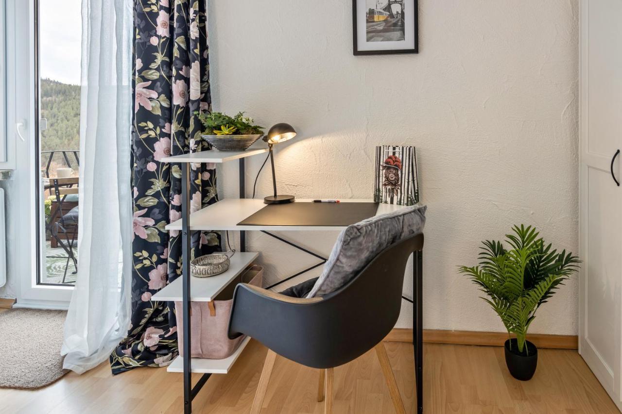 Ferienappartement Sonnenhof Triberg im Schwarzwald Εξωτερικό φωτογραφία