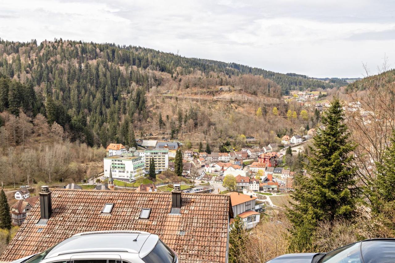 Ferienappartement Sonnenhof Triberg im Schwarzwald Εξωτερικό φωτογραφία