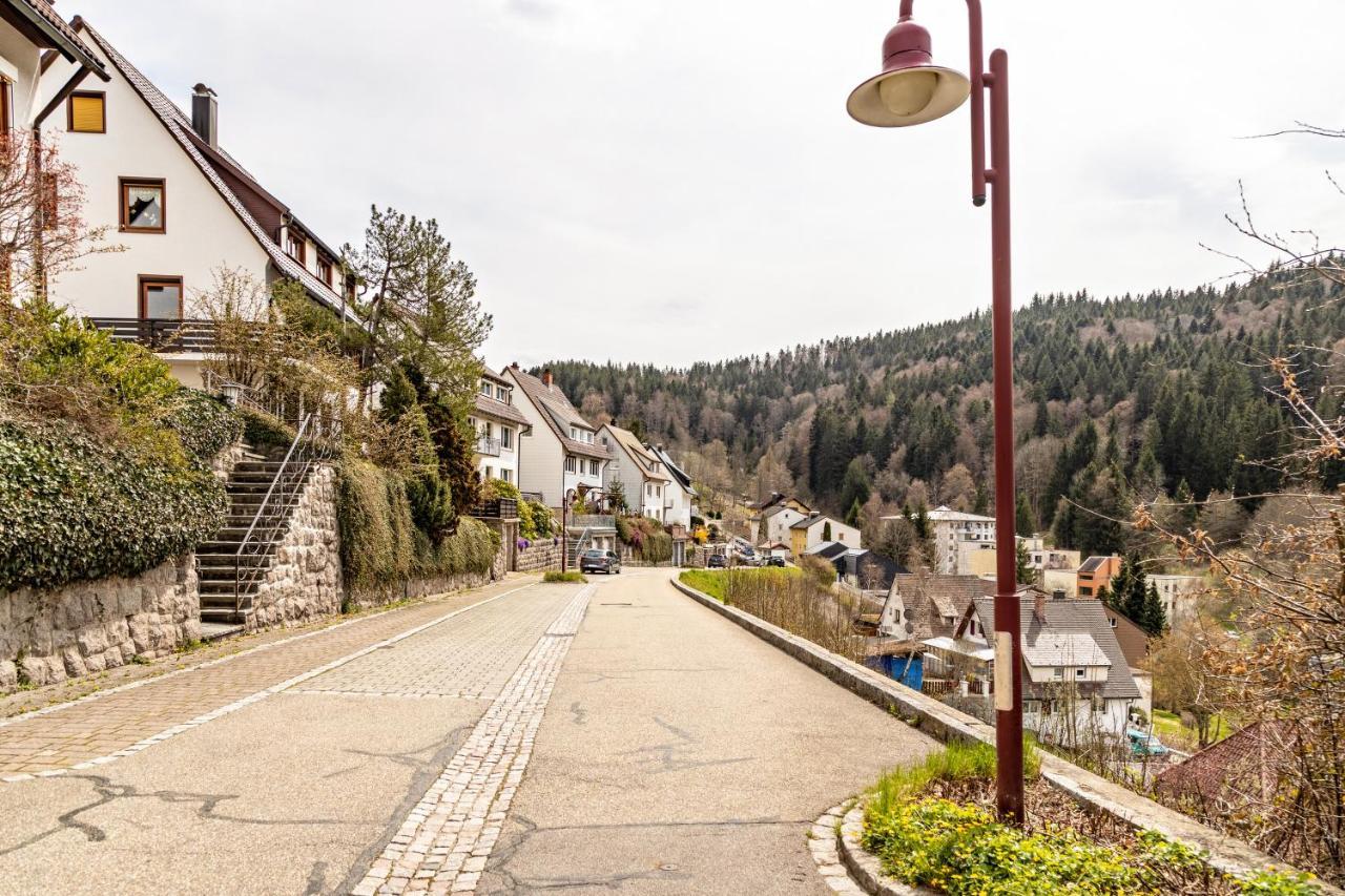 Ferienappartement Sonnenhof Triberg im Schwarzwald Εξωτερικό φωτογραφία