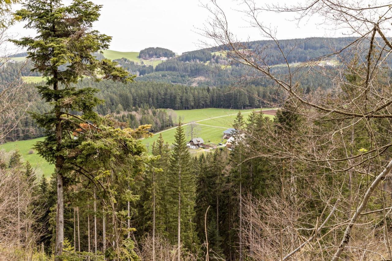 Ferienappartement Sonnenhof Triberg im Schwarzwald Εξωτερικό φωτογραφία